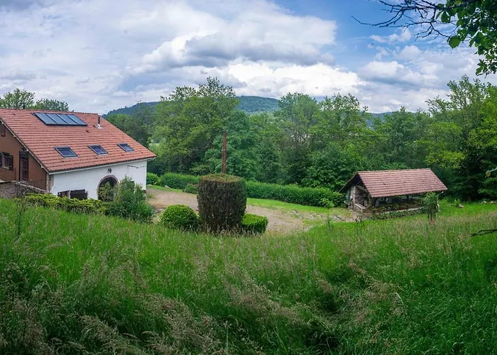 La Ferme Aux Belles Sources Dommartin-lès-Remiremont